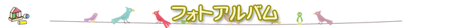 フォトアルバム
